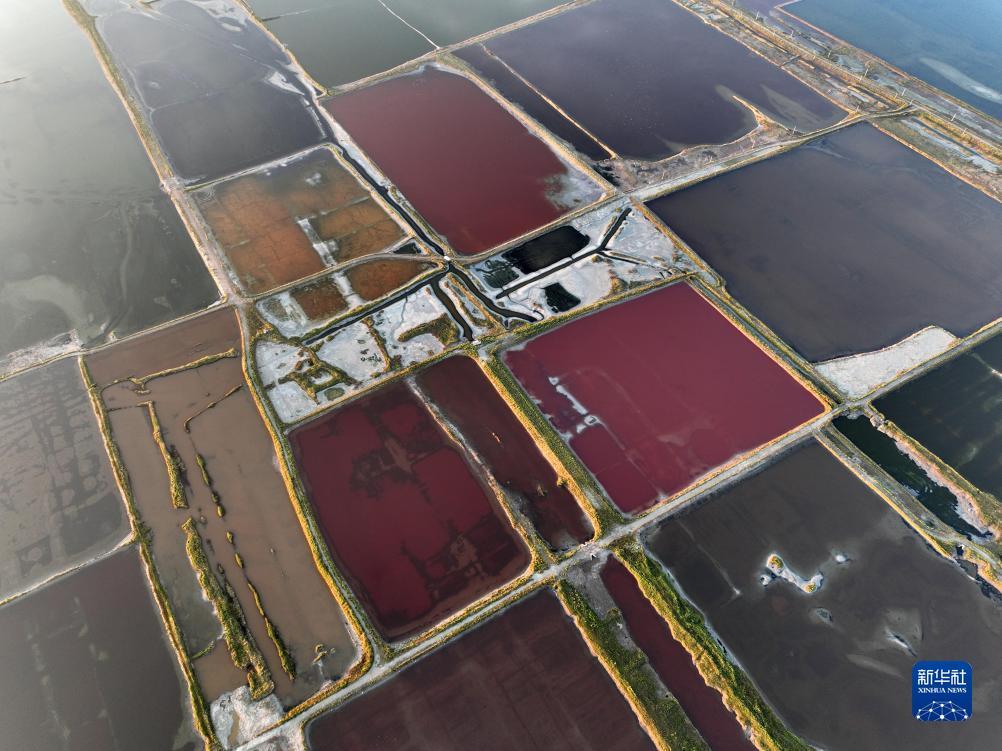 游戏官方下载